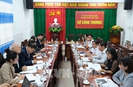 Korean companies eye fruit juice, biofuel plants in Can Tho